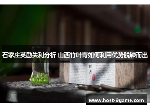 石家庄英励失利分析 山西竹叶青如何利用优势脱颖而出