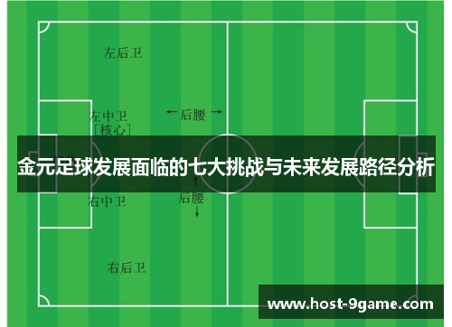 金元足球发展面临的七大挑战与未来发展路径分析