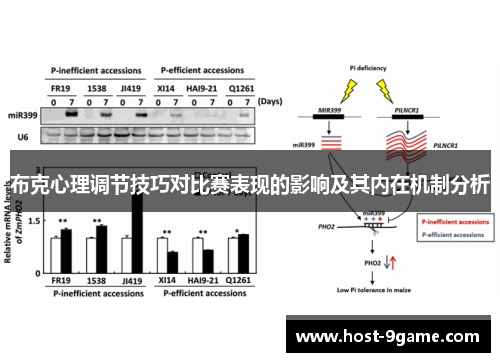 布克心理调节技巧对比赛表现的影响及其内在机制分析