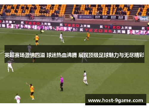 英超赛场激情四溢 球迷热血沸腾 展现顶级足球魅力与无尽精彩