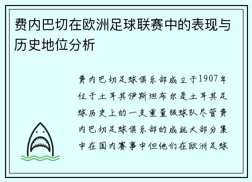 费内巴切在欧洲足球联赛中的表现与历史地位分析