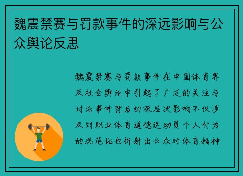 魏震禁赛与罚款事件的深远影响与公众舆论反思